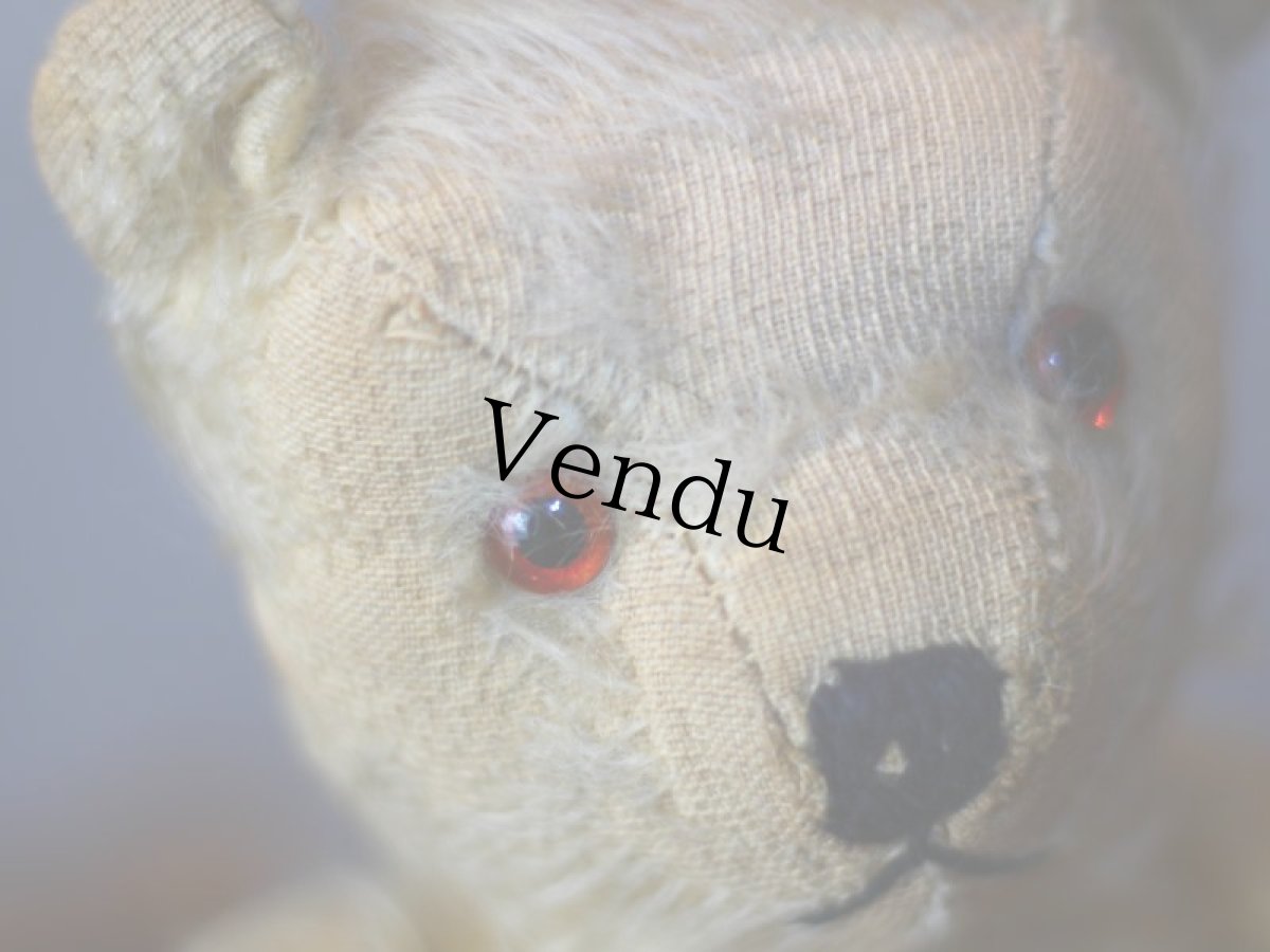 画像7: アンティークテディベア＊ (7)