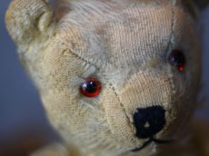 画像7: アンティークテディベア＊ (7)