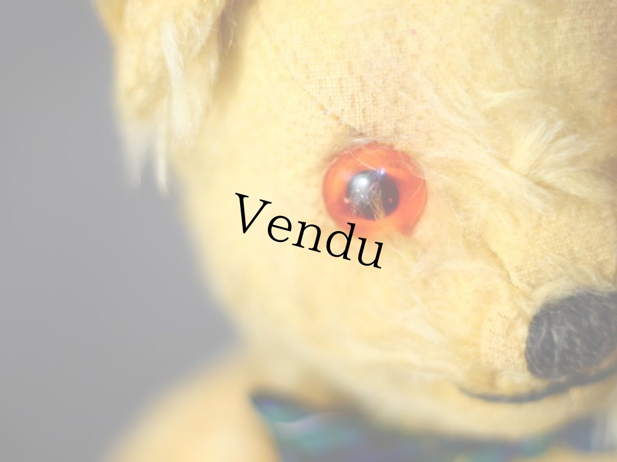 画像7: アンティークテディベア＊ (7)