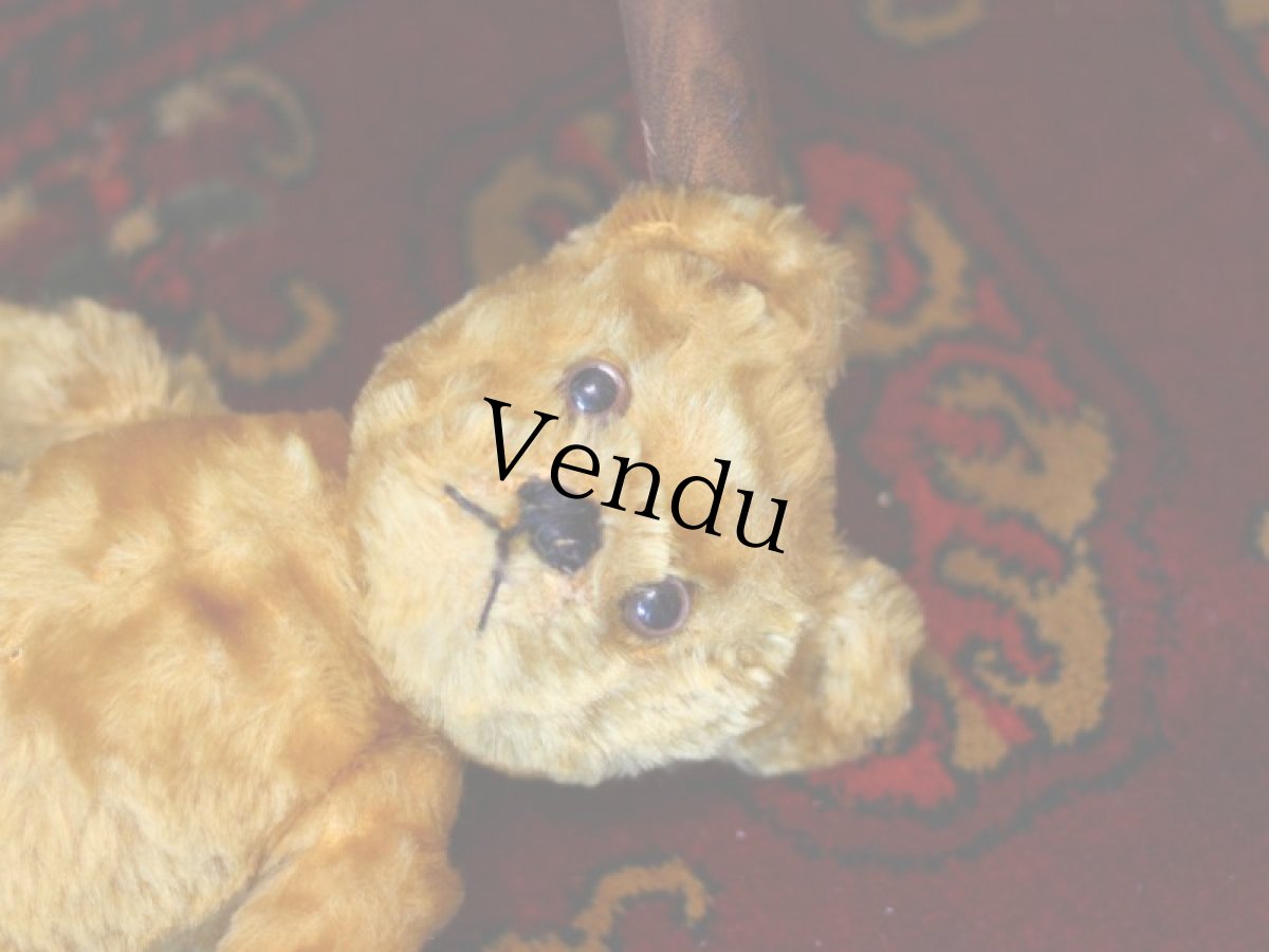 画像10: イギリス メリーソート アンティークベア/British＊ (10)