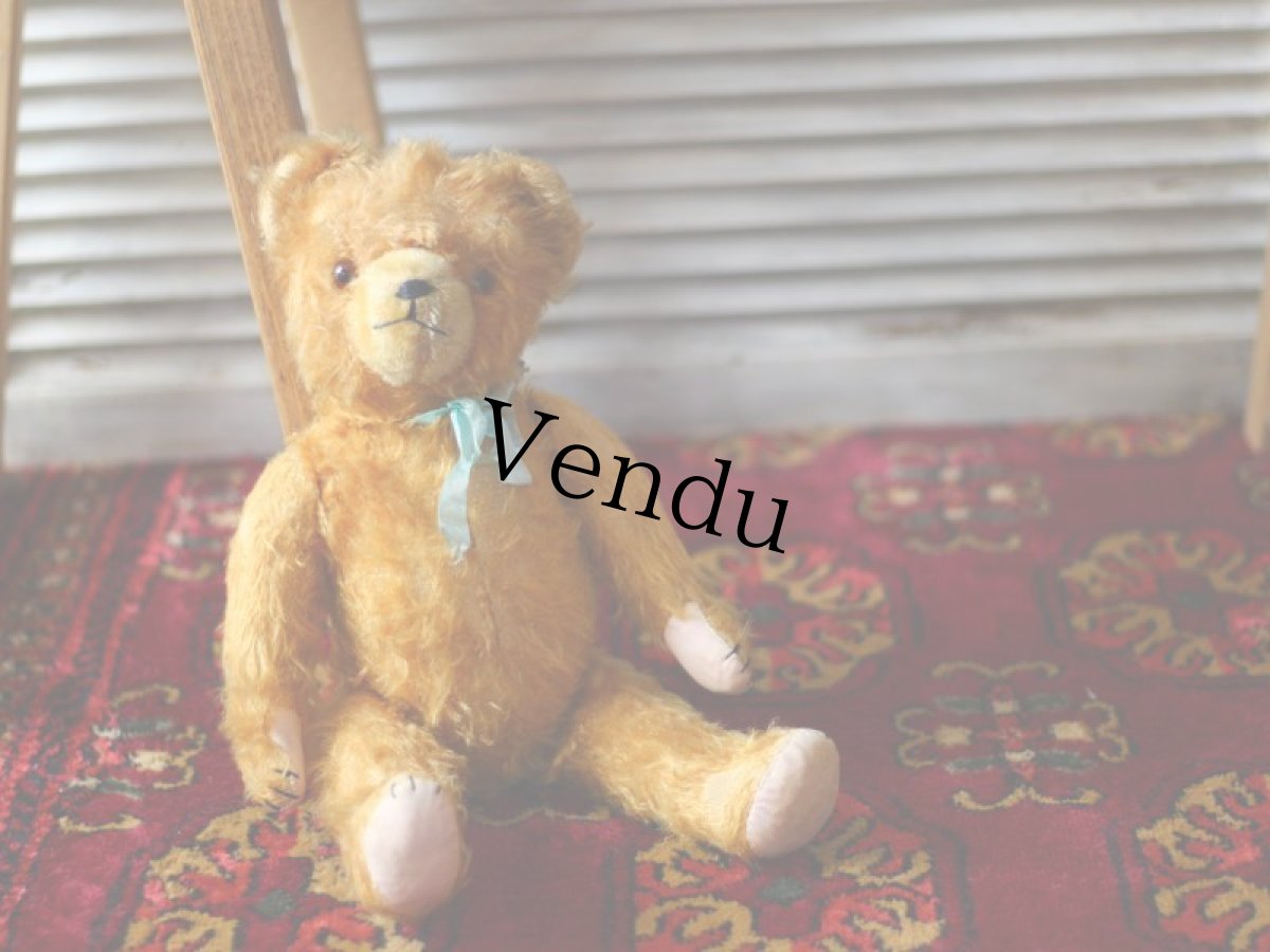 画像6: ドイツ アンティーク  ベア/German (6)