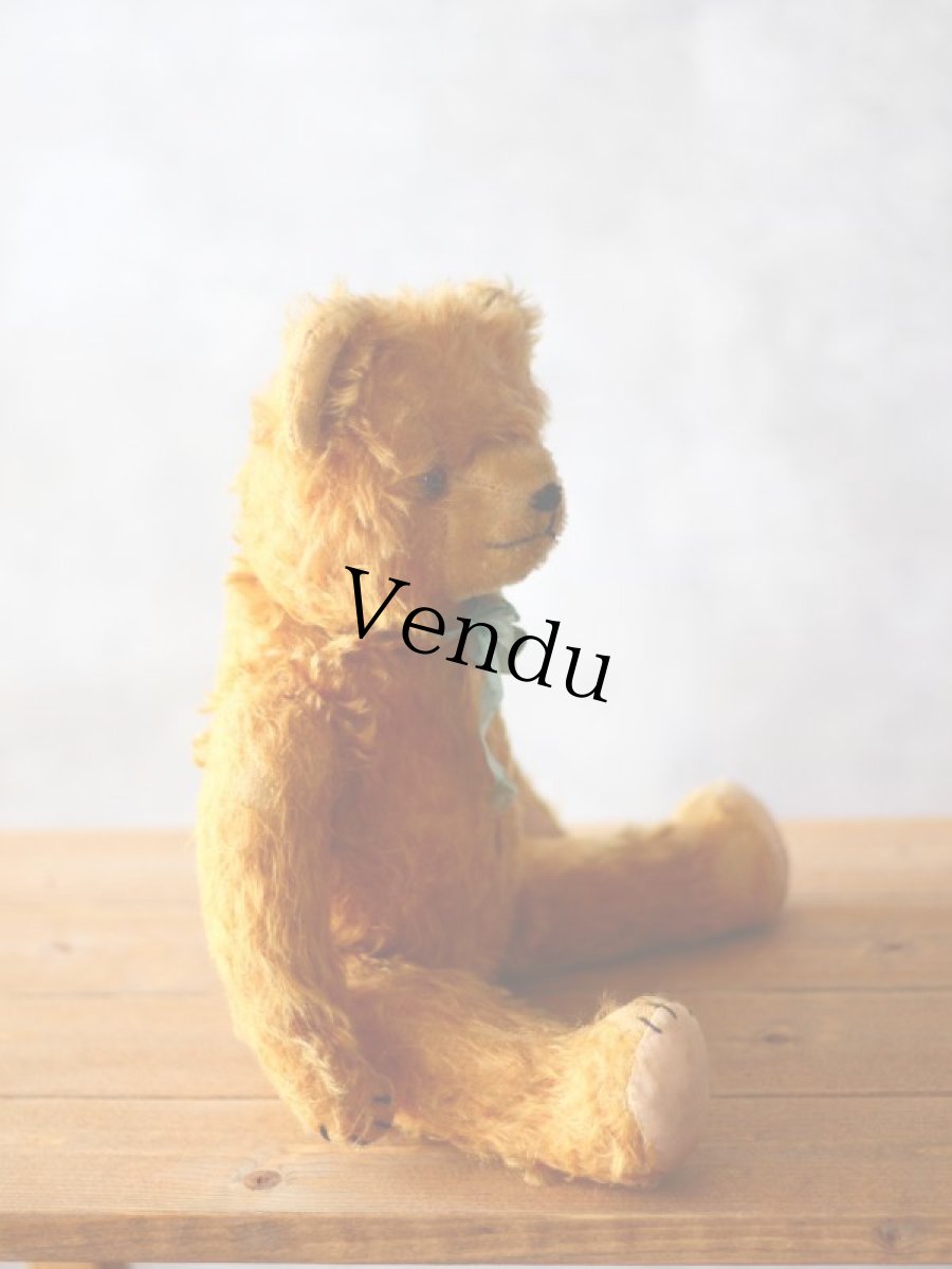 画像13: ドイツ アンティーク  ベア/German (13)