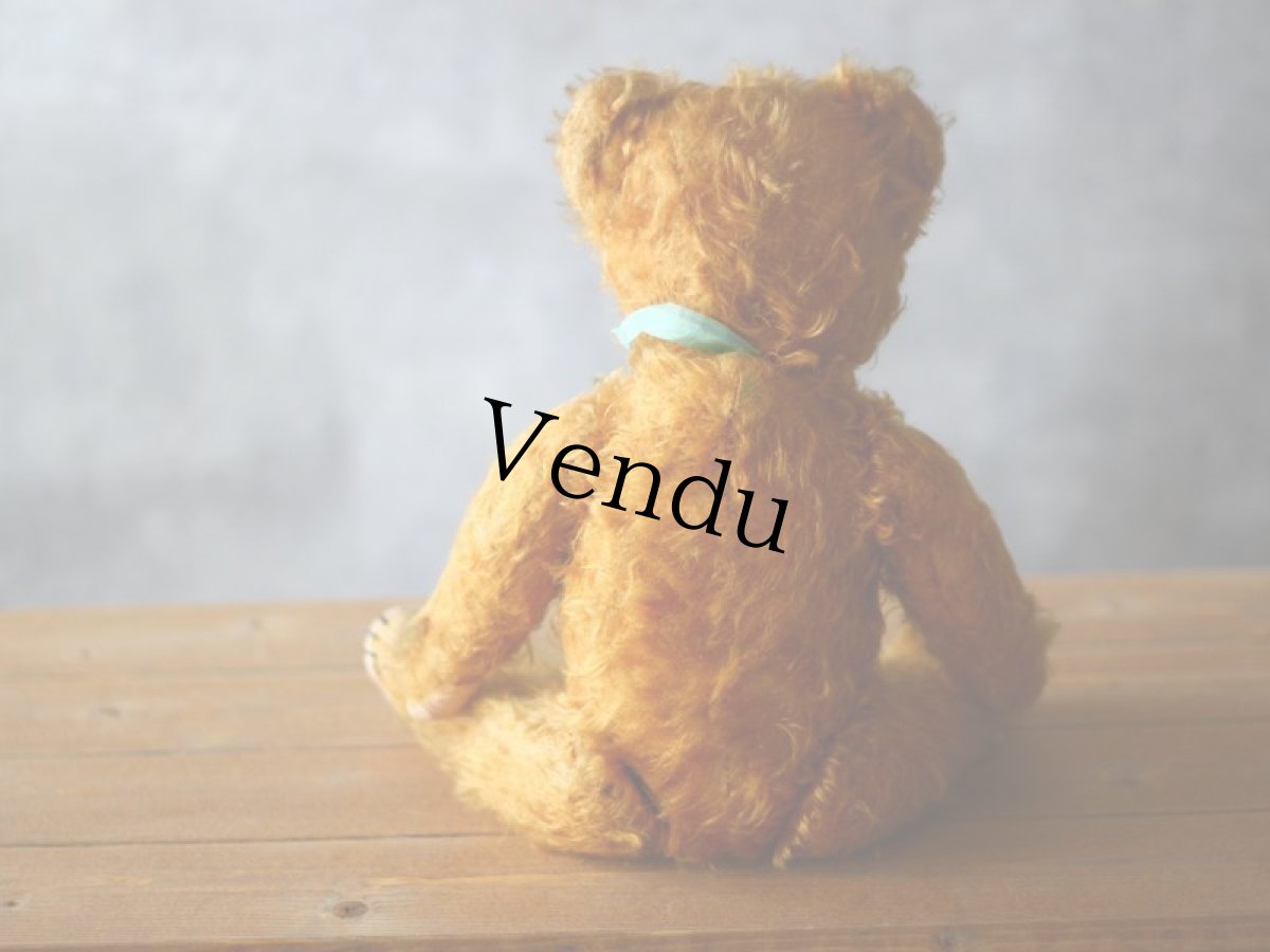 画像11: ドイツ アンティーク  ベア/German (11)