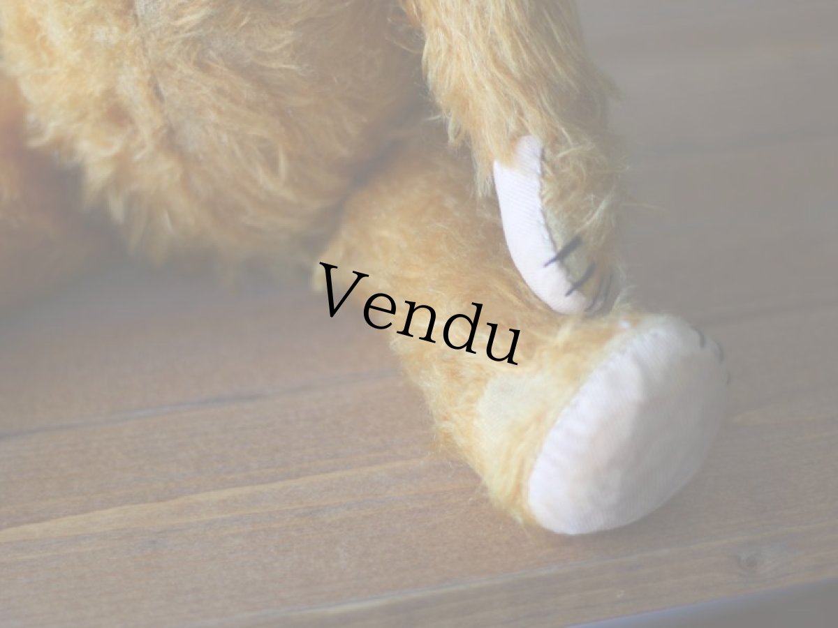 画像9: ドイツ アンティーク  ベア/German (9)