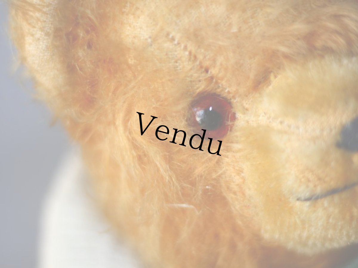 画像4: ドイツ アンティーク  ベア/German (4)