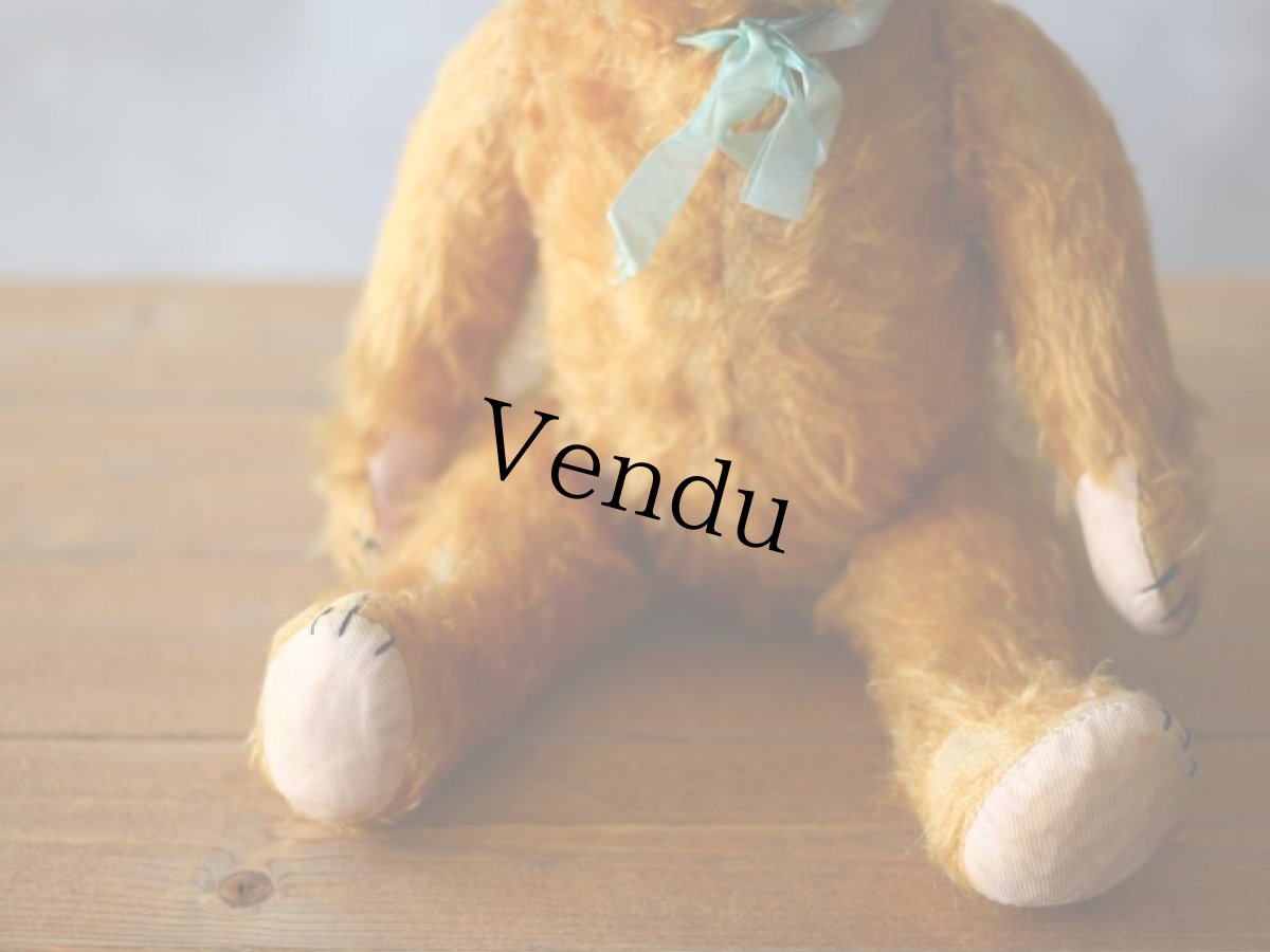 画像8: ドイツ アンティーク  ベア/German (8)