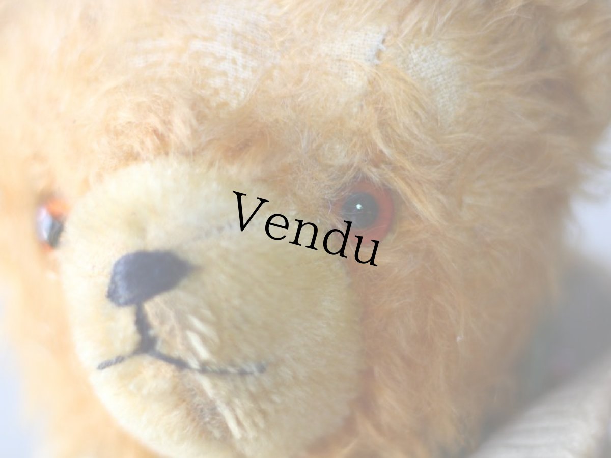 画像3: ドイツ アンティーク  ベア/German (3)