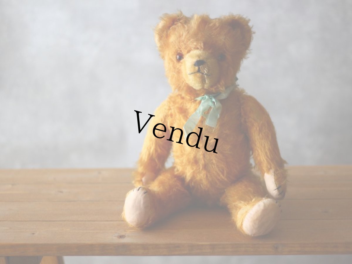 画像7: ドイツ アンティーク  ベア/German (7)