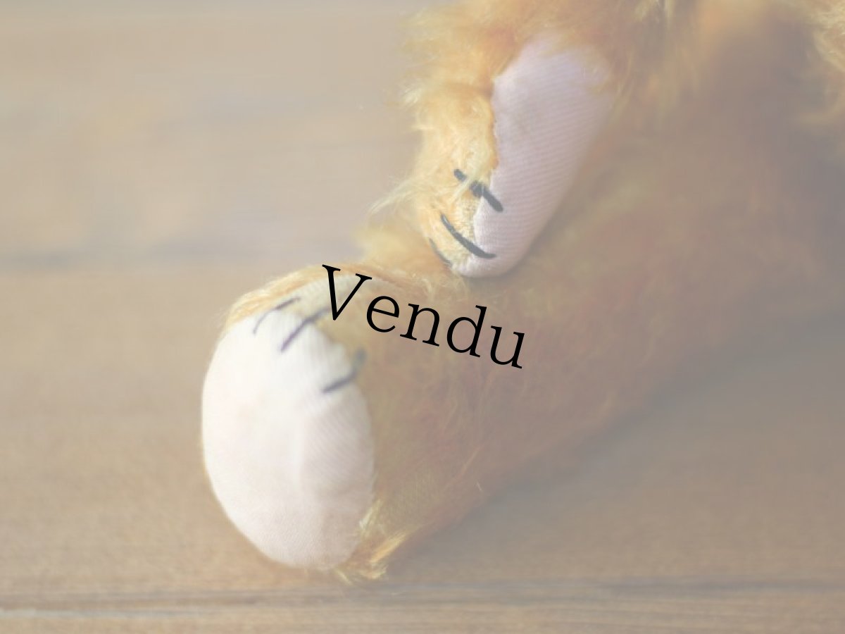 画像10: ドイツ アンティーク  ベア/German (10)