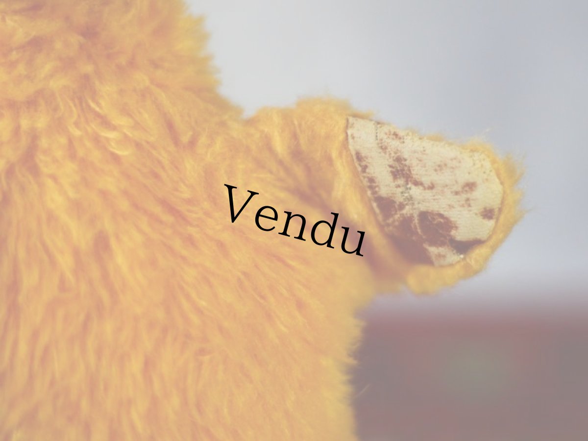 画像6: イギリス チャドバレー スーティーパペット/British Chad Valley＊ (6)