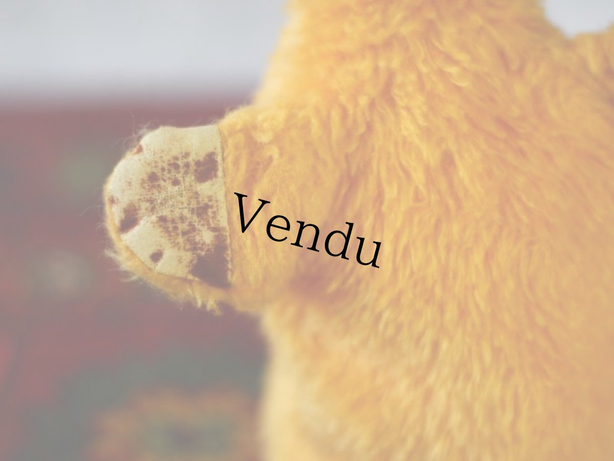 画像5: イギリス チャドバレー スーティーパペット/British Chad Valley＊ (5)