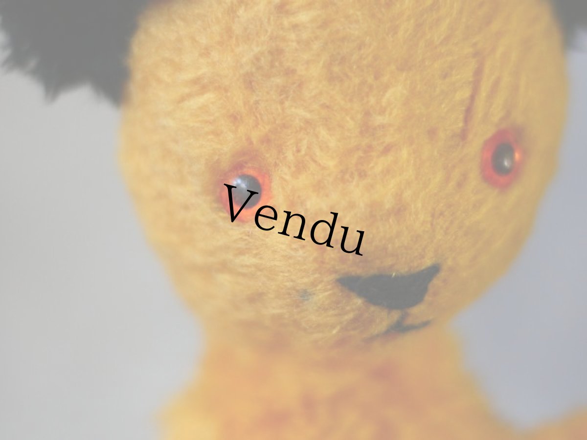 画像4: イギリス チャドバレー スーティーパペット/British Chad Valley＊ (4)