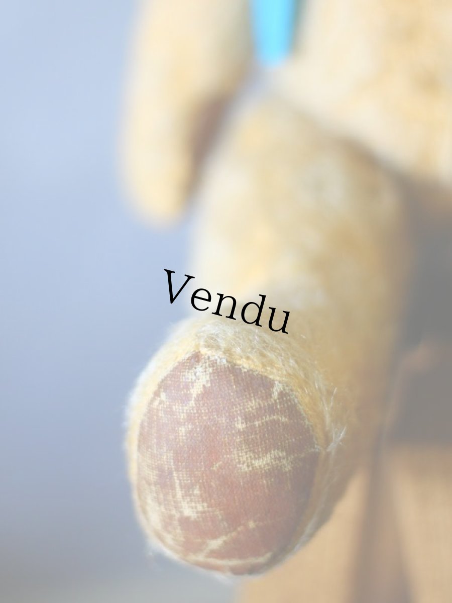 画像6: チャドバレー アンティーク ベア/British Chad Valley＊ (6)