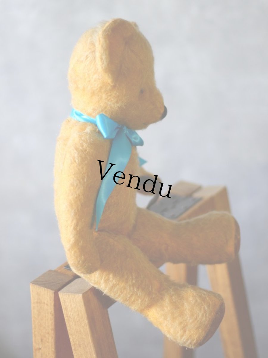 画像10: チャドバレー アンティーク ベア/British Chad Valley＊ (10)