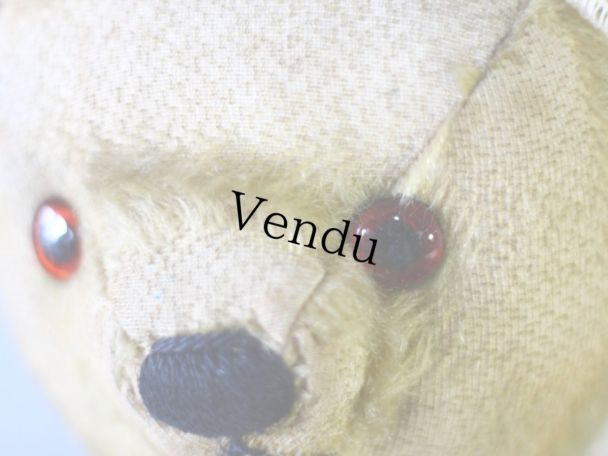 画像3: チャドバレー アンティーク ベア/British Chad Valley＊ (3)