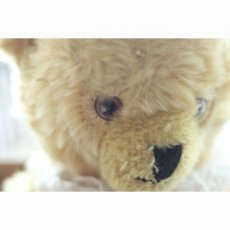 画像2: イギリス メリーソート社 耳鈴テディベア (2)