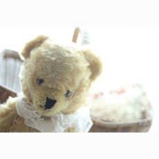 画像4: イギリス メリーソート社 耳鈴テディベア (4)