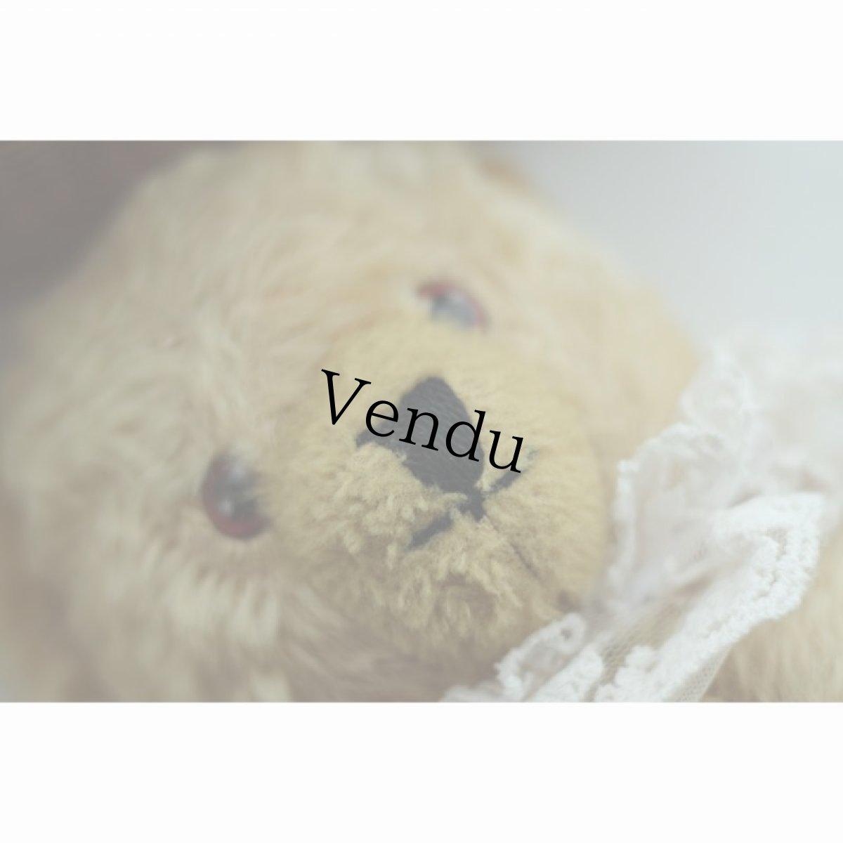 画像5: イギリス メリーソート社 耳鈴テディベア (5)