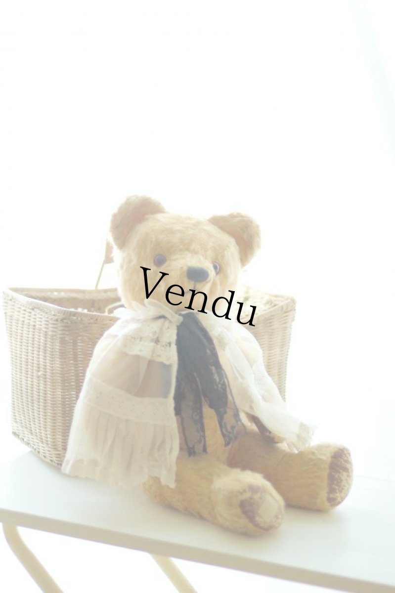 画像1: イギリス名門チャド・バレー社アンティークテディベア　 (1)