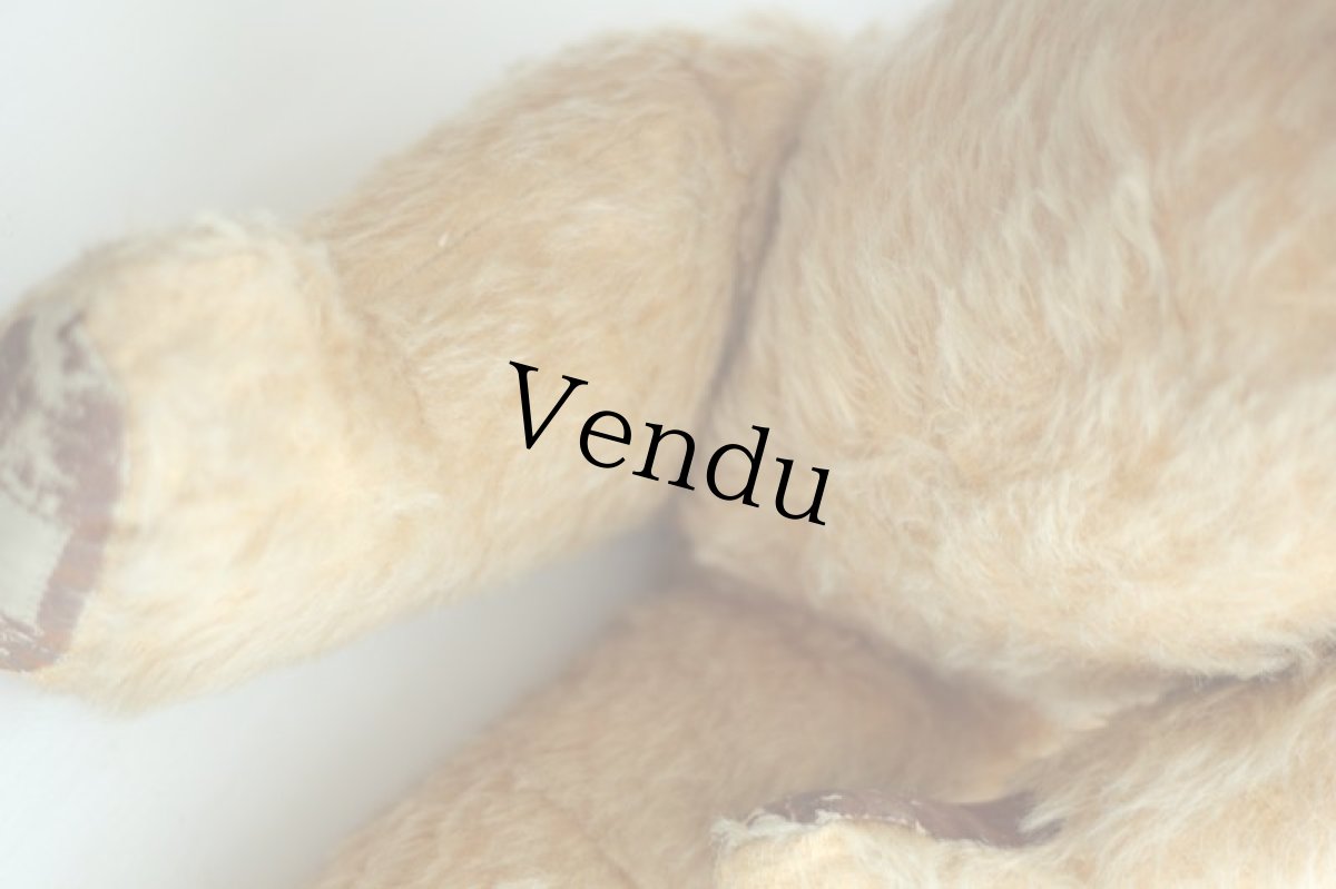 画像5: イギリス名門チャド・バレー社アンティークテディベア　 (5)