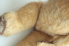 画像5: イギリス名門チャド・バレー社アンティークテディベア　 (5)