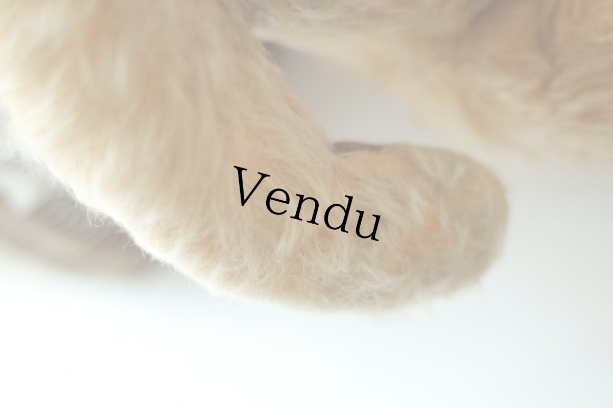 画像6: イギリス名門チャド・バレー社アンティークテディベア　 (6)