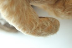 画像6: イギリス名門チャド・バレー社アンティークテディベア　 (6)