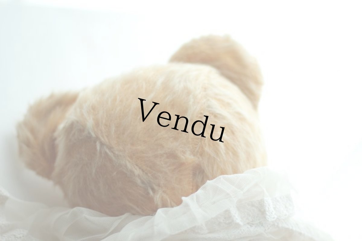 画像7: イギリス名門チャド・バレー社アンティークテディベア　 (7)