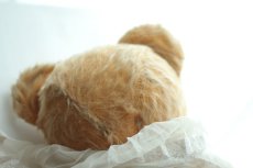 画像7: イギリス名門チャド・バレー社アンティークテディベア　 (7)