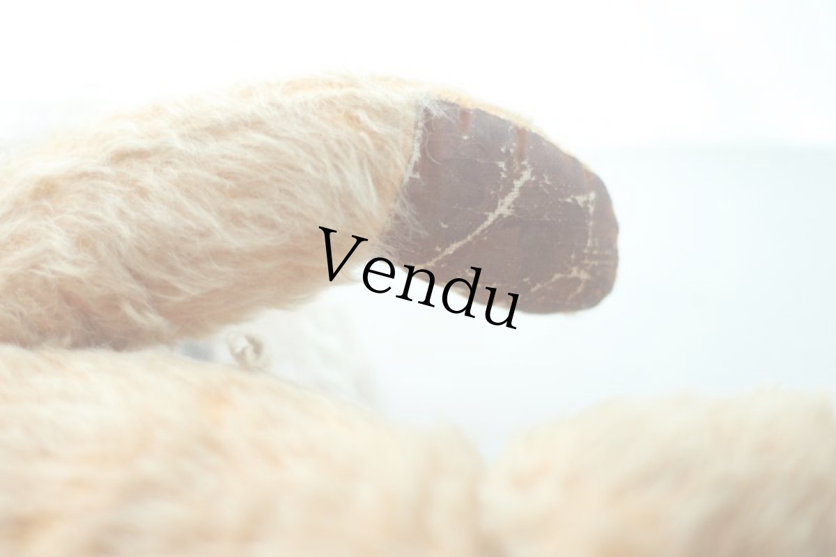 画像9: イギリス名門チャド・バレー社アンティークテディベア　 (9)