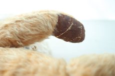 画像9: イギリス名門チャド・バレー社アンティークテディベア　 (9)