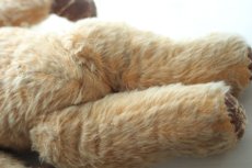 画像10: イギリス名門チャド・バレー社アンティークテディベア　 (10)