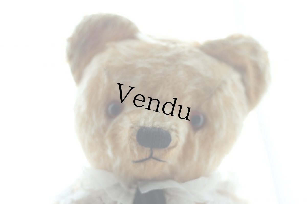 画像11: イギリス名門チャド・バレー社アンティークテディベア　 (11)