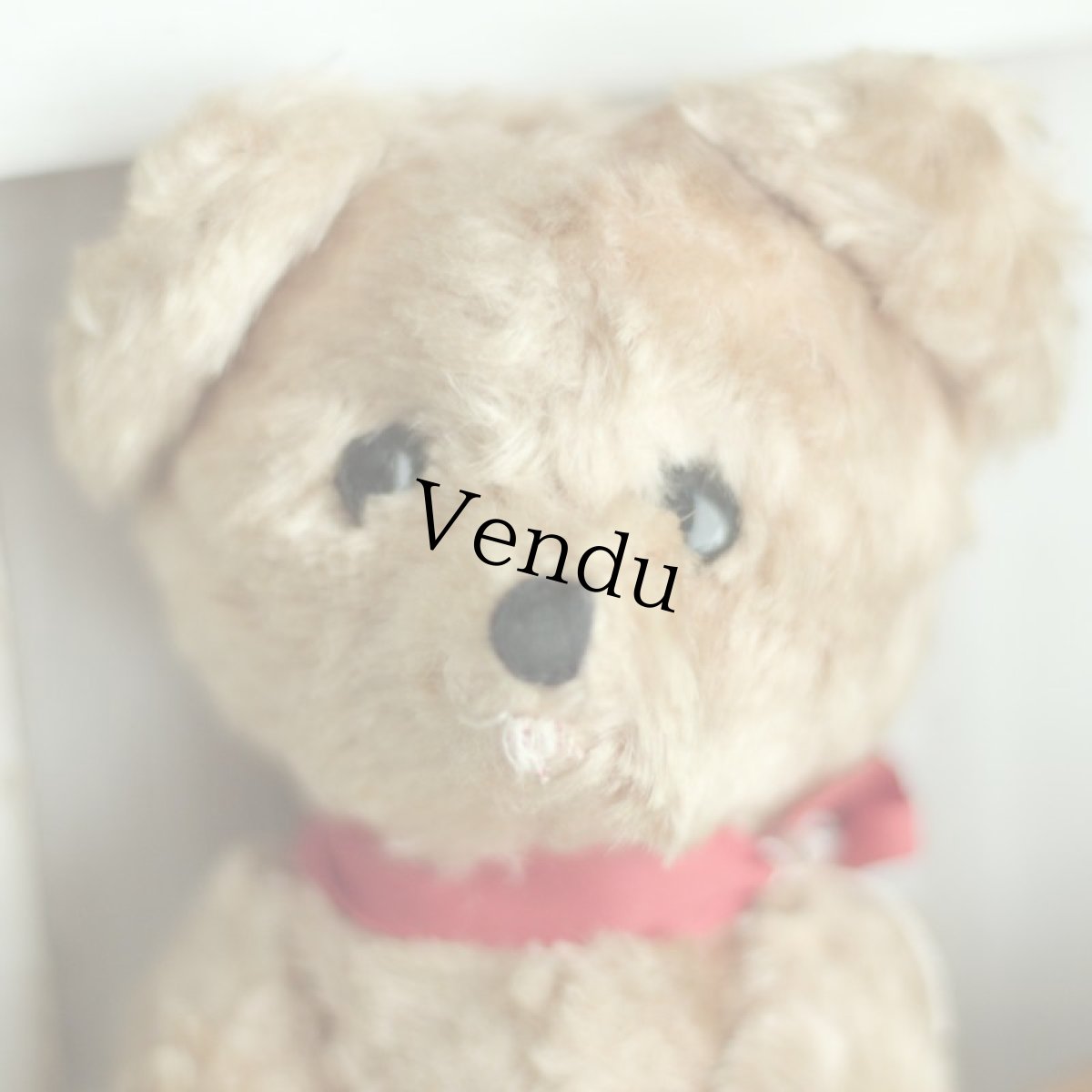 画像2: イギリス アンティークベア 156 (2)