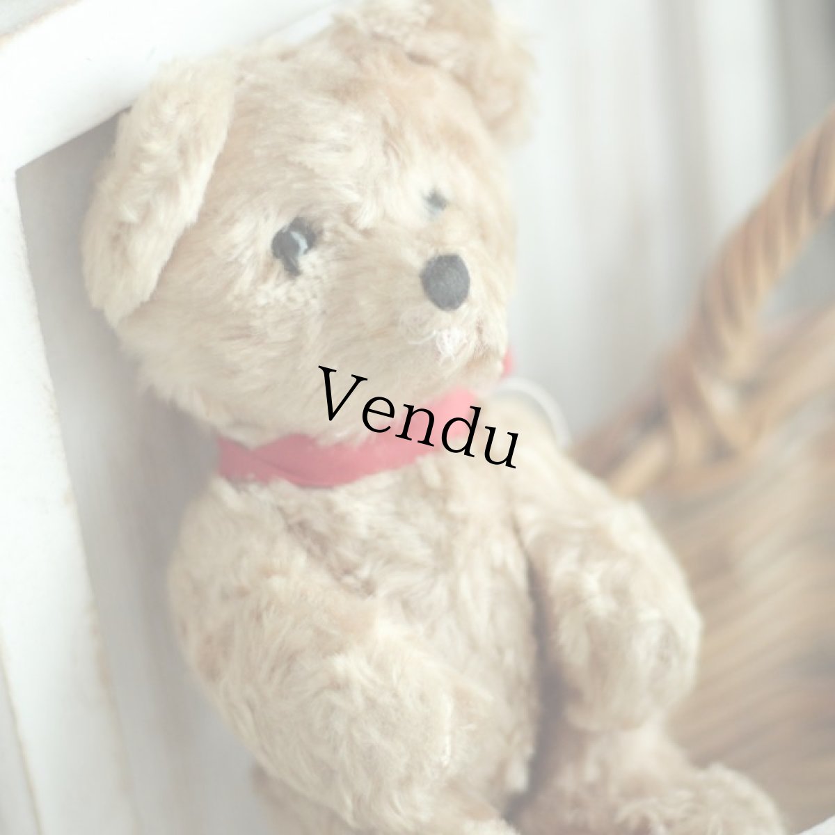 画像3: イギリス アンティークベア 156 (3)