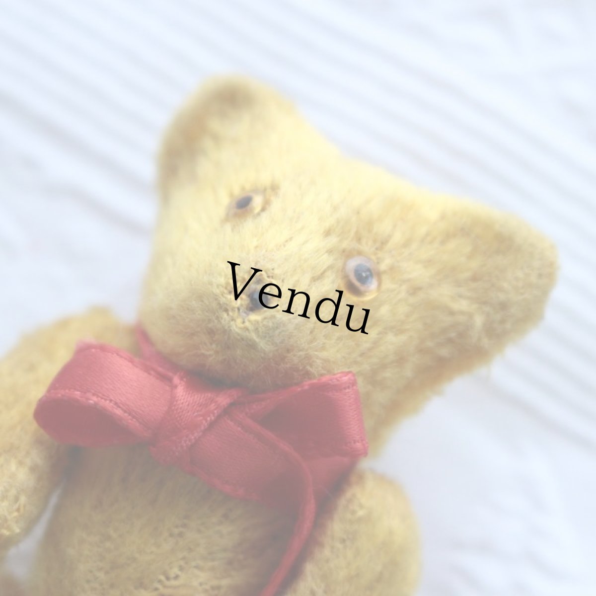 画像5: miniature teddy bear  赤リボン＊ (5)