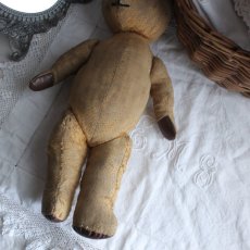 画像6: イギリスアンティーク テディベア  335 (6)