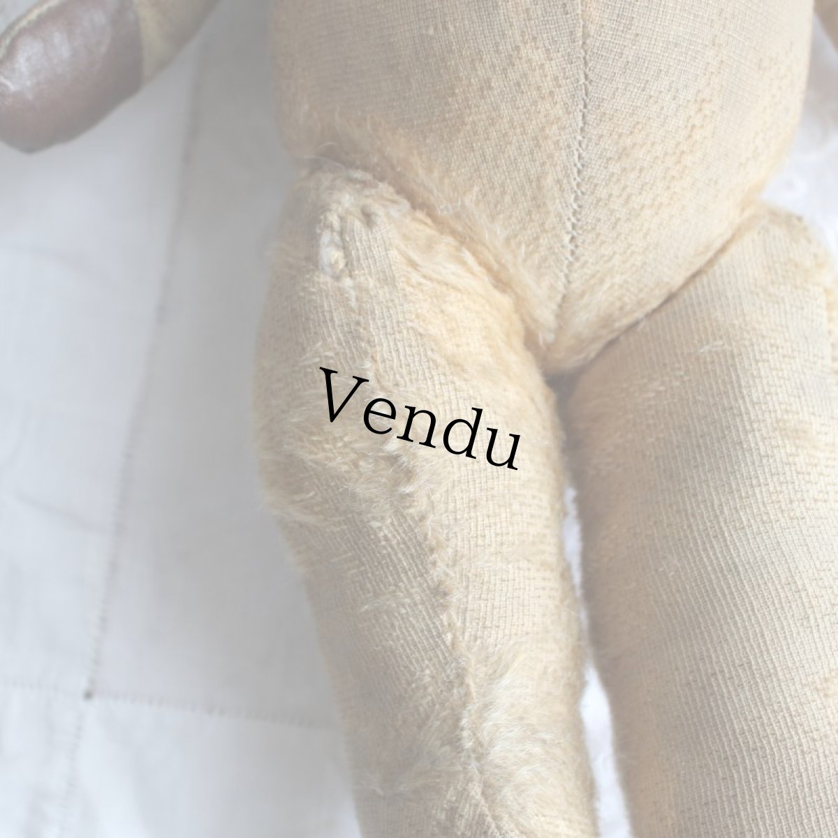 画像8: イギリスアンティーク テディベア  335 (8)