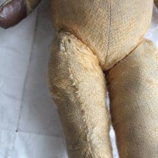 画像8: イギリスアンティーク テディベア  335 (8)