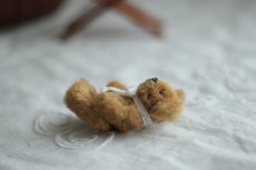 画像4: アンティークミニチュアテディベア  342 (4)