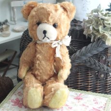 画像1: イギリスアンティークテディベア  354 (1)