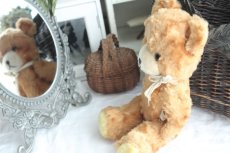 画像4: イギリスアンティークテディベア  354 (4)