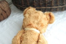 画像8: イギリスアンティークテディベア  354 (8)