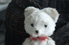 画像2: イギリスアンティークテディベア  355 (2)