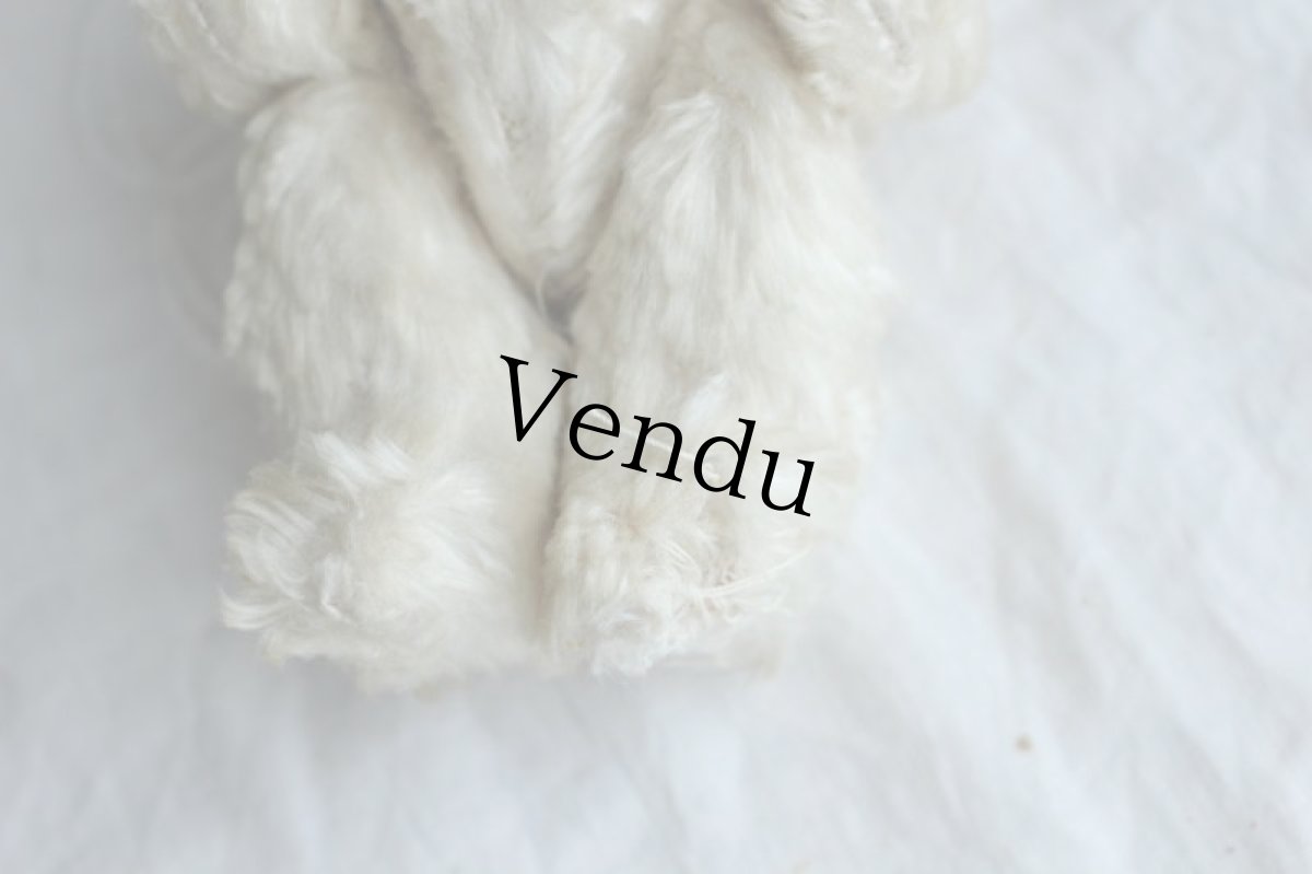 画像6: イギリスアンティークテディベア  355 (6)