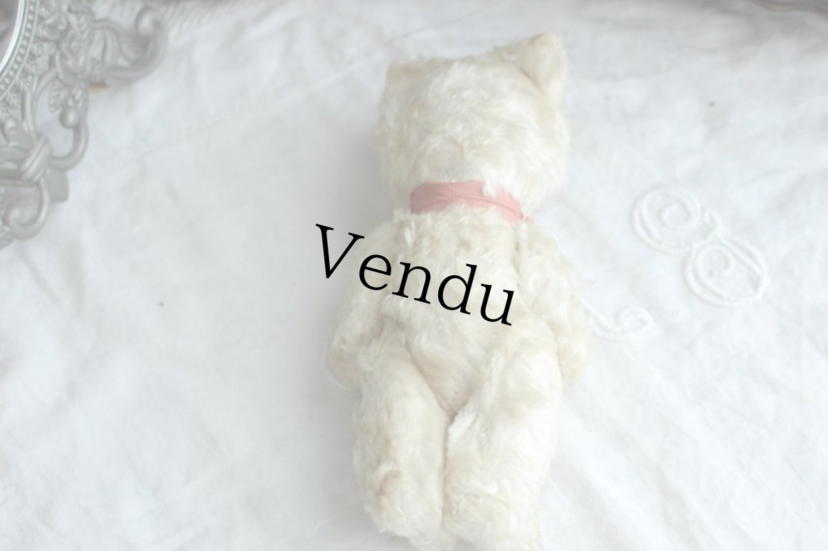 画像7: イギリスアンティークテディベア  355 (7)