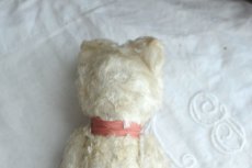 画像8: イギリスアンティークテディベア  355 (8)