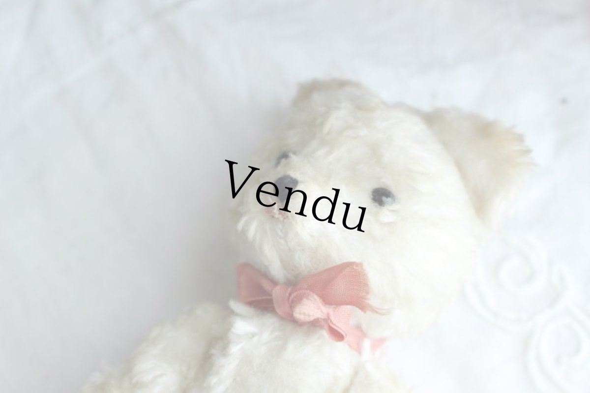 画像9: イギリスアンティークテディベア  355 (9)