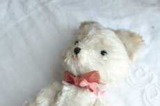 画像9: イギリスアンティークテディベア  355 (9)