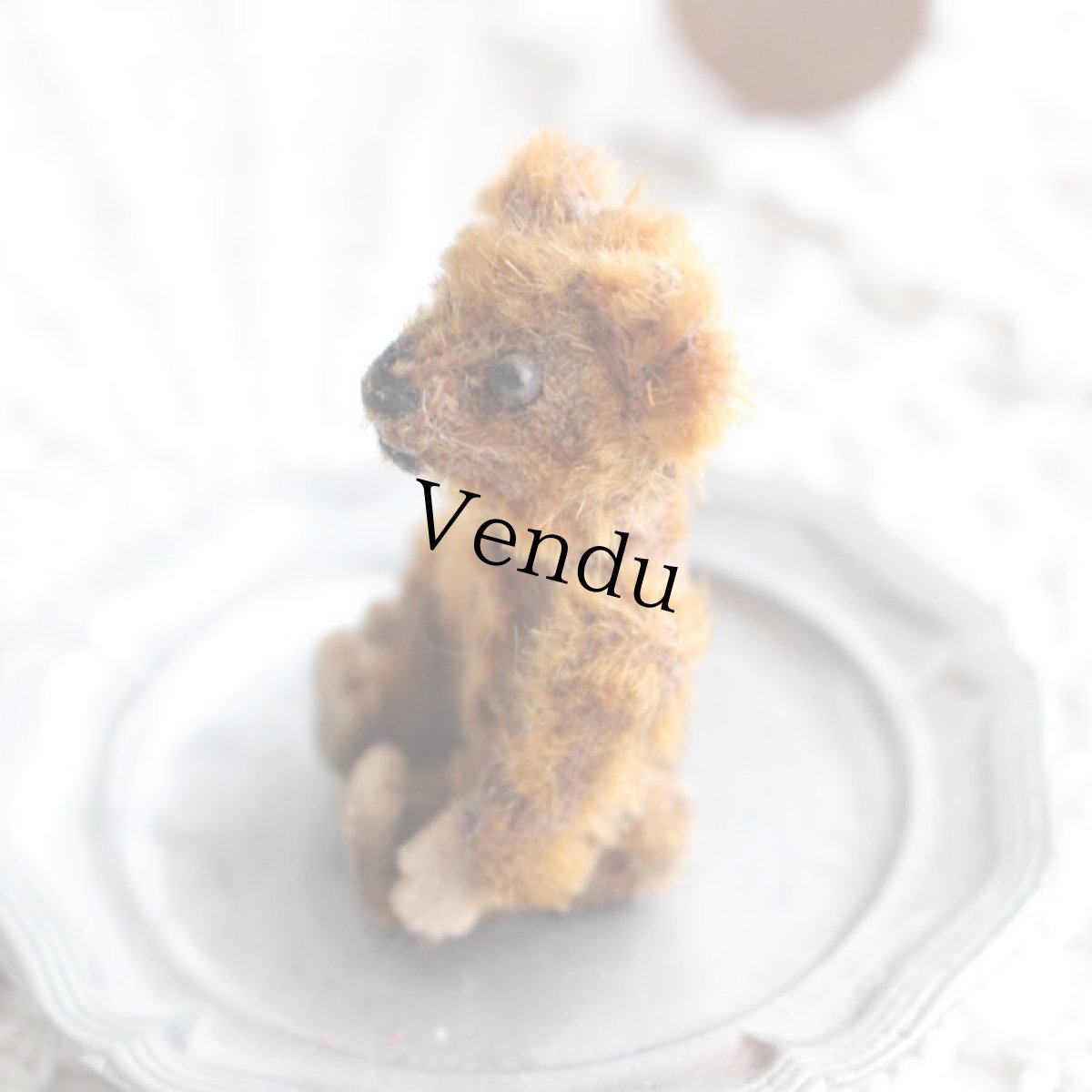 画像5: シュコー社アンティークピッコロシリーズテディベア (5)